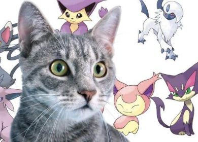 cat pokemon