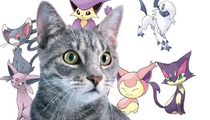 cat pokemon