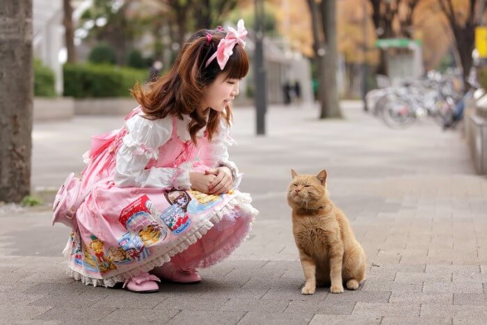 Une fille déguisée dit bonjour à son chat.