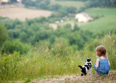 little girl outdoors greeting cat