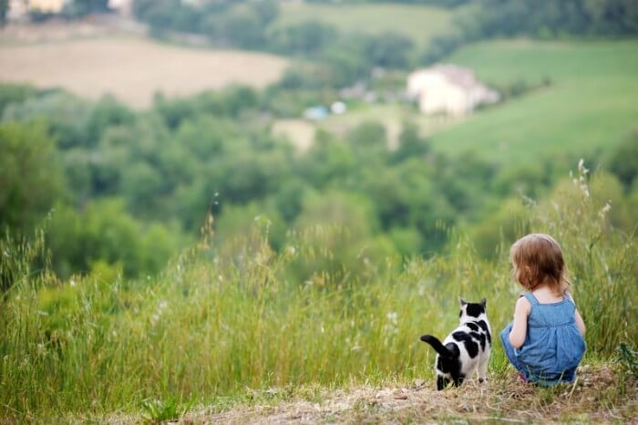 little girl outdoors greeting cat