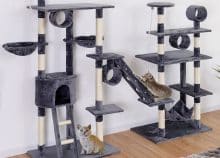 Arbre à chat