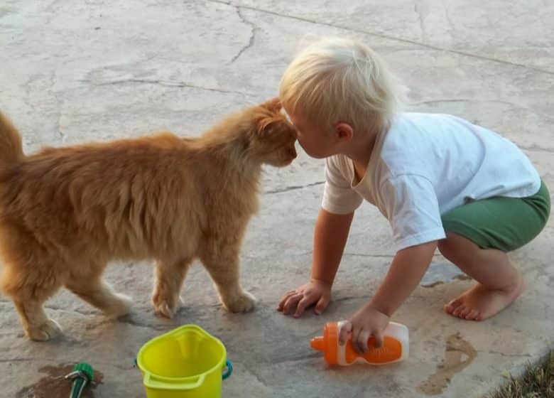 Chat avec un jeune enfant