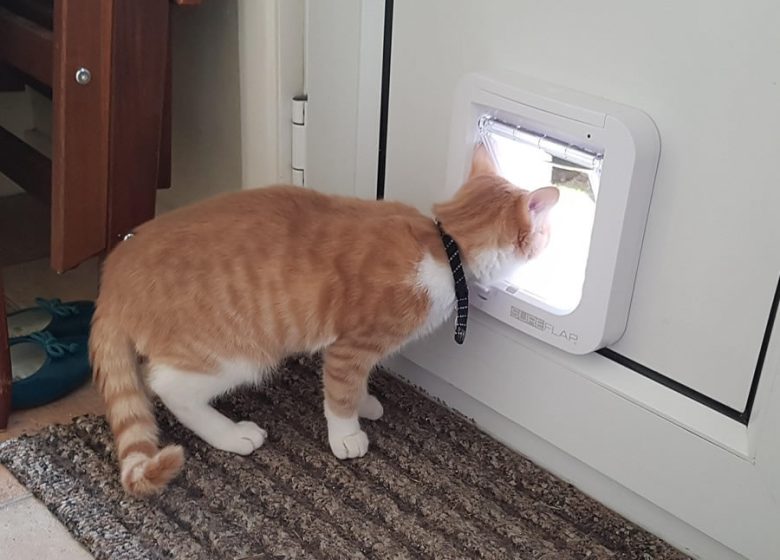 Chatière dans une porte en composite