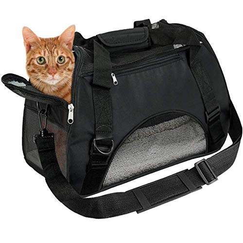 Sac De Transport Pour Chat Sac de transport souple pour chats avec bandoulière et matelas • MonChat.ca