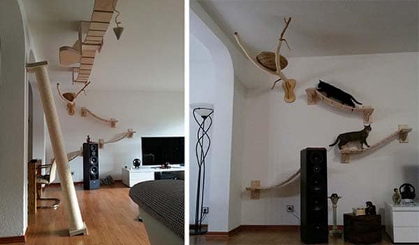 incroyable arbre à chat