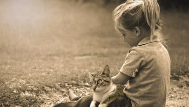 Petite fille assise avec un chat