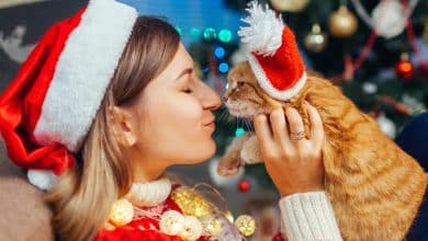 20 meilleures idées de cadeaux noël pas chers pour une femme qui aime les chats au Québec