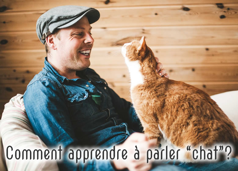 Comment parler avec son chat?