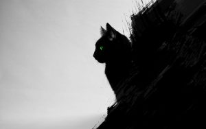 Fond d'écran de bureau d'un chat noir de profil sur un fond artistique