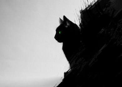 Fond d'écran de bureau d'un chat noir de profil sur un fond artistique