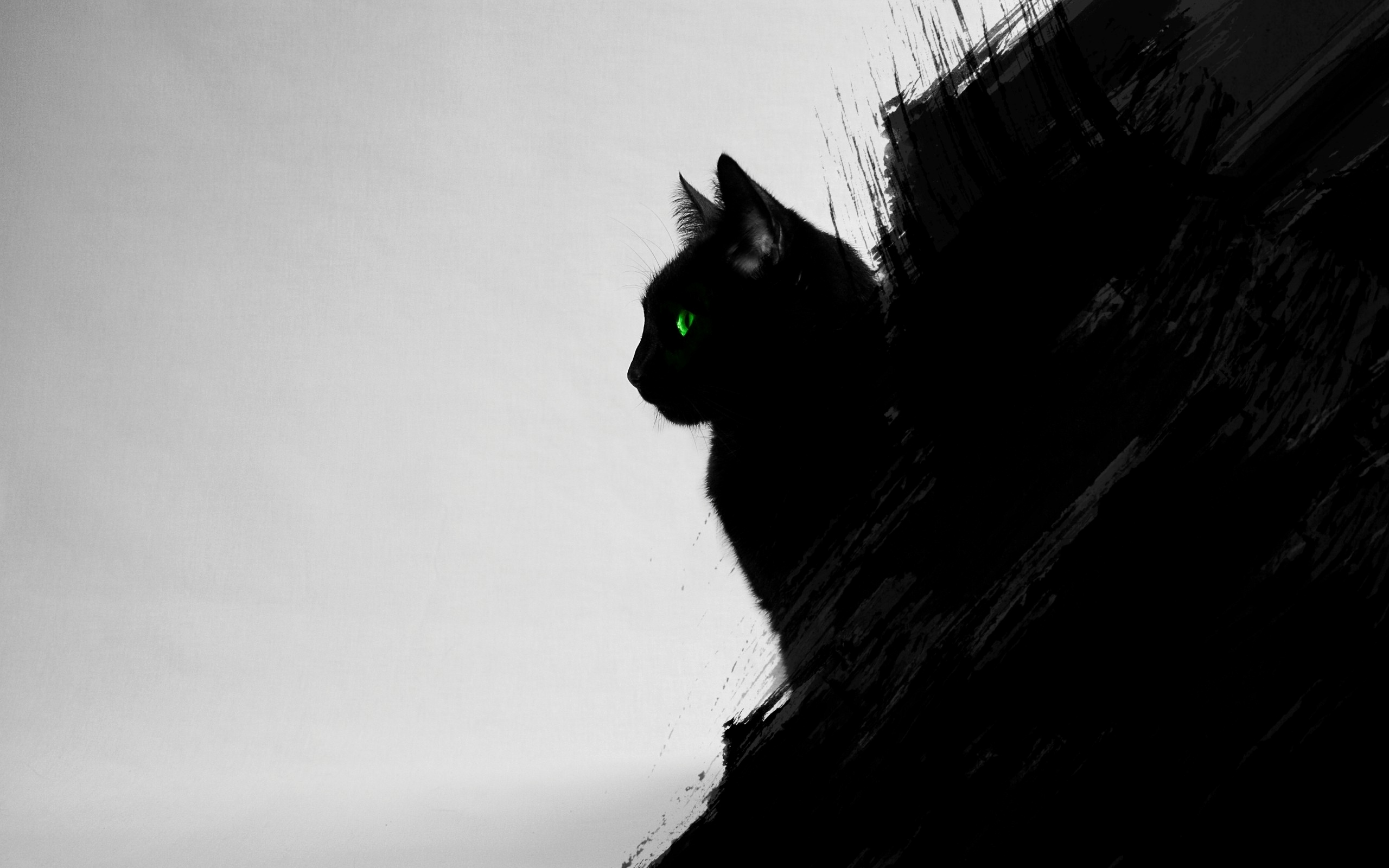 Fond D Ecran De Bureau Gratuit Un Chat Noir De Profil Sur Un Fond Artistique Monchat Ca