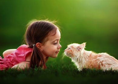 Adorable fond d'écran d'une fillette et d'un chat en face à face sur le gazon