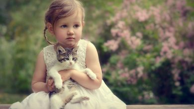 Fond d'écran d'une petite fille prenant un joli chaton