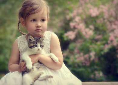 Fond d'écran d'une petite fille prenant un joli chaton