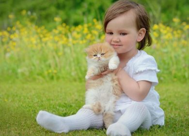 Fond d'écran d'une jolie petite fille assise sur le gazon avec un beau chaton