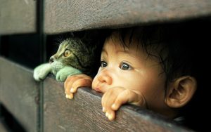 Magnifique fond d'écran d'un enfant et d'un chat qui regardent à travers une clôture de bois