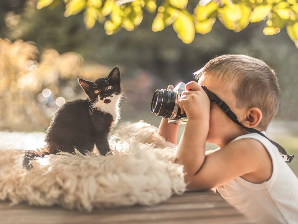 Wallpaper à télécharger gratuitement: Un jeune garçon qui prend une photo  d'un mignon chaton noir et blanc • MonChat.ca
