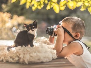 Wallpaper d'un jeune garçon qui prend une photo d'un mignon chaton noir et blanc