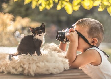 Wallpaper d'un jeune garçon qui prend une photo d'un mignon chaton noir et blanc