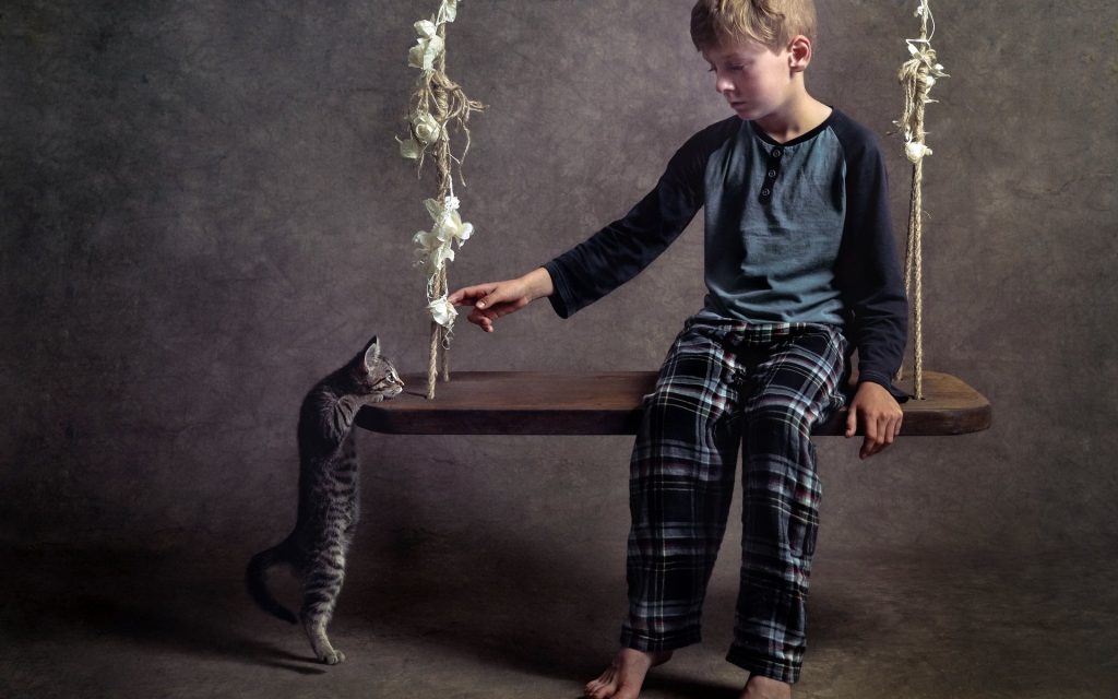 Fond d'écran d'un garçon assis sur une balancoire avec un chat qui veut le rejoindre