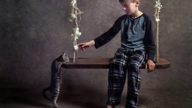 Fond d'écran d'un garçon assis sur une balançoir avec un chat qui veut le rejoindre