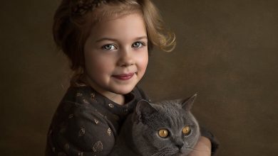 Fond d'écran d'une adorable petite fille avec un beau chat gris