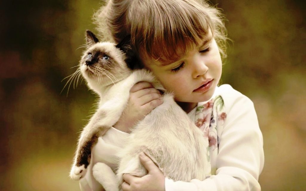 Fond d'écran d'une fillette qui cajole un chat avec tendresse