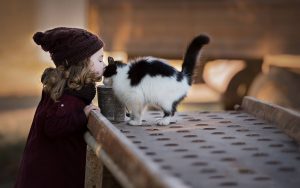 Fond d'écran d'une petite fille qui embrasse un chat noir et blanc