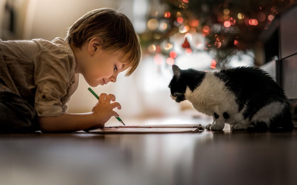 Fond d'écran d'un enfant qui dessine avec un chat noir et blanc