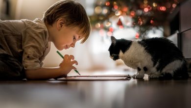 Fond d'écran d'un enfant qui dessine avec un chat noir et blanc