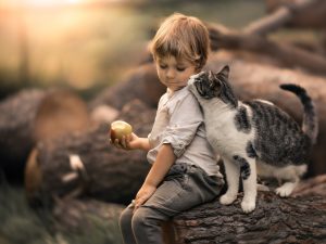 Fond d'écran d'un petit garçon assis sur un tronc d'arbre avec un chat