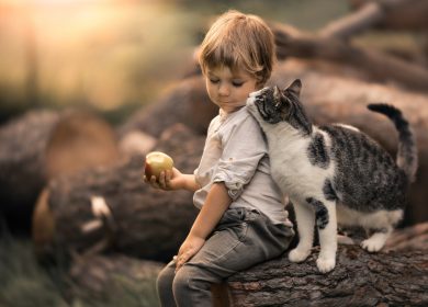 Fond d'écran d'un petit garçon assis sur un tronc d'arbre avec un chat