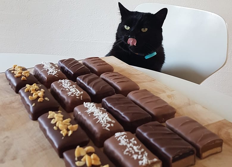 Chat noir qui veut manger du chocolat