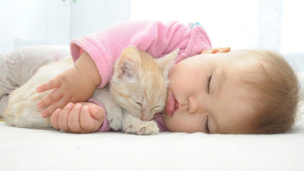 Photo adorable d'un bébé enlaçant un chaton tous les deux endormis