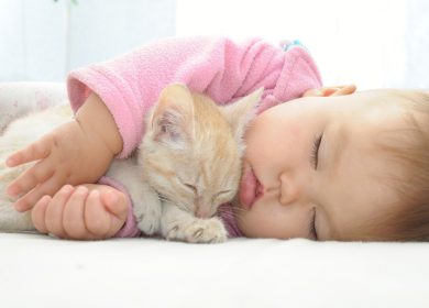 Photo adorable d'un bébé enlaçant un chaton tous les deux endormis