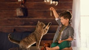 Photo d'un garçon qui nourrit un chat avec du poisson