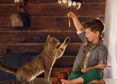 Photo d'un garçon qui nourrit un chat avec du poisson