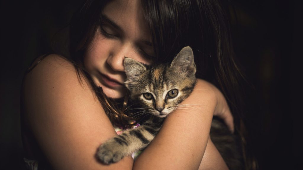 Photo de bureau pour pc d'une enfant qui prend avec affection un chat dans ses bras