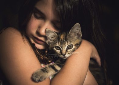 Photo de bureau pour pc d'une enfant qui prend avec affection un chat dans ses bras