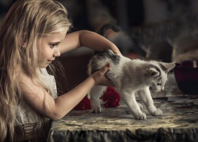 Photo de bureau pour pc d'une fillette qui joue avec un chat