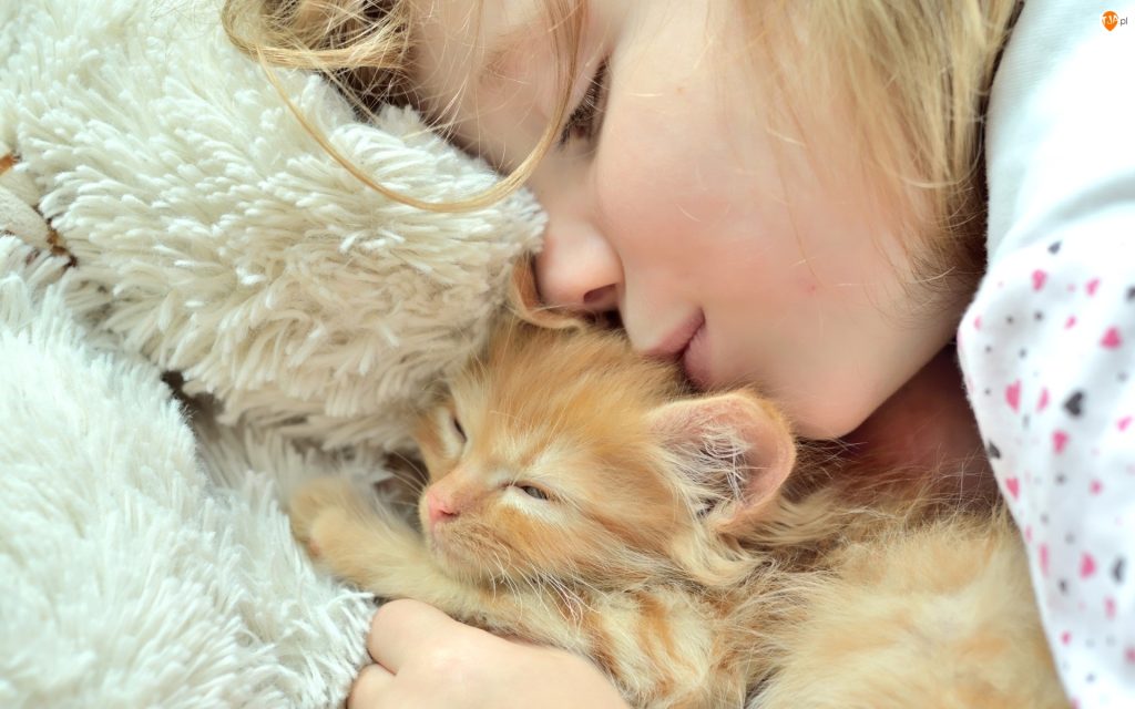 Wallpaper d'une petite fille qui embrasse un chaton endormi