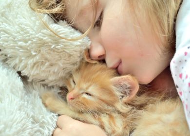 Wallpaper d'une petite fille qui embrasse un chaton endormi