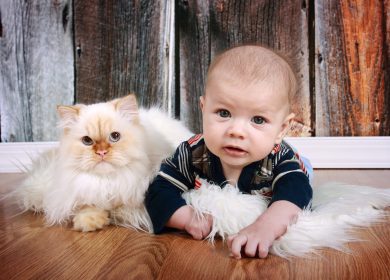 Wallpaper d'un bébé étendu sur le ventre avec son chat à ses côtés