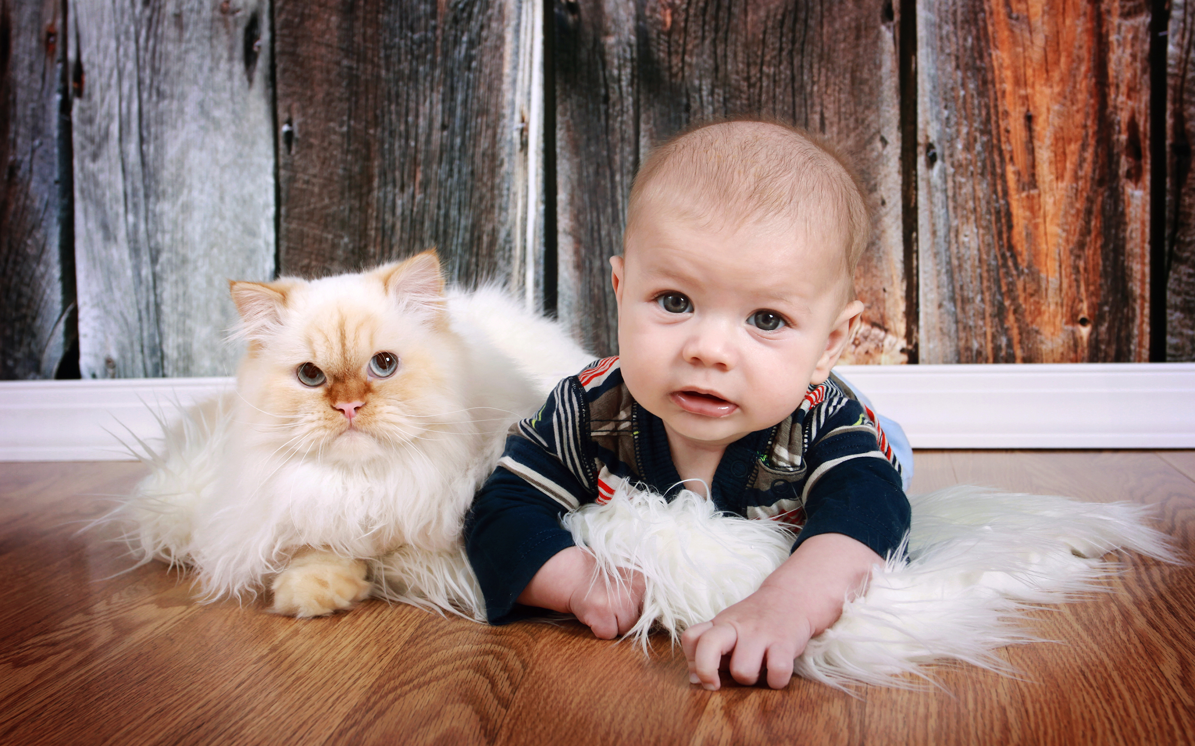 Fond D Ecran 4k Gratuit A Telecharger Un Bebe Etendu Sur Le Ventre Avec Son Chat A Ses Cotes Monchat Ca