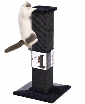 Poteau à griffer noir pour chats de PAWZ