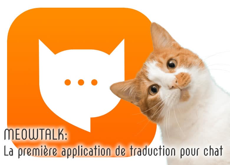 MEOWTALK: la première application de traduction pour chat