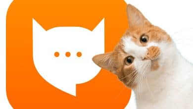 MEOWTALK: la premiere application de traduction pour chat
