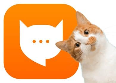 MEOWTALK: la premiere application de traduction pour chat