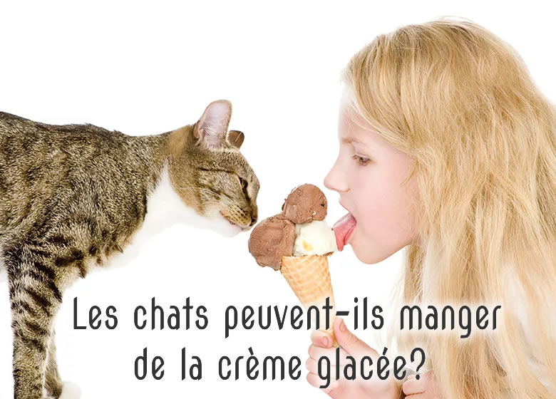 Est-ce que les chats peuvent manger de la crème glacée?